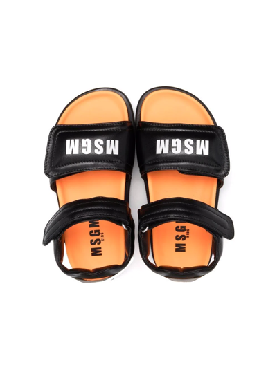 Shop Msgm Teen Logo Print Touch-strap Sandals In Black