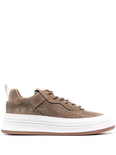 Shop Buttero Circolo Low-top Sneakers In Braun