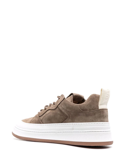 Shop Buttero Circolo Low-top Sneakers In Braun