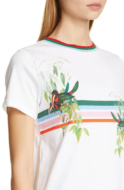 Shop Ted Baker Kathlin Tutti Frutti Tee In White