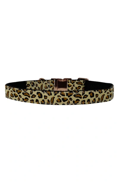 Shop Dogs Of Glamour Pardo Brown Collar In Brown/ Multi