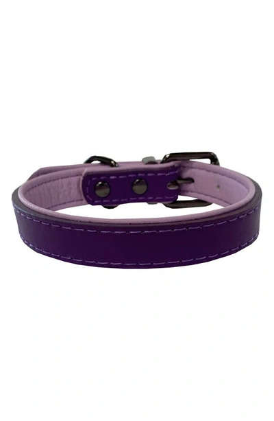 Shop Dogs Of Glamour Atelier Luxury Purple Dog Collar