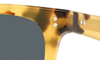 Shop Oliver Peoples Lynes 55mm Pillow Sunglasses In Yellow Tortoise