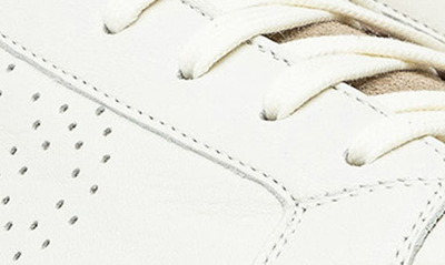 Shop P448 John Sneaker In Cream/ Tab