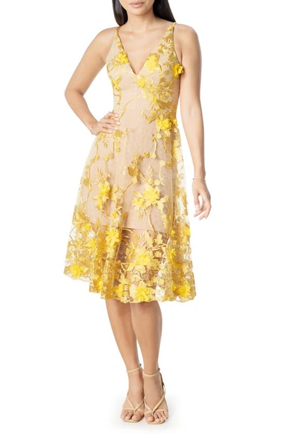 Shop Dress The Population Audrey Embroidered Fit & Flare Dress In Canary/ Nude