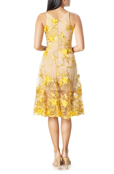 Shop Dress The Population Audrey Embroidered Fit & Flare Dress In Canary/ Nude
