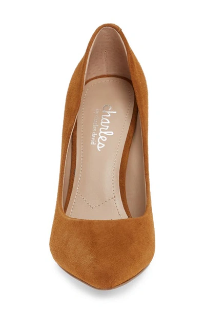 Shop Charles By Charles David Maxx Pointed Toe Pump In Amber Suede