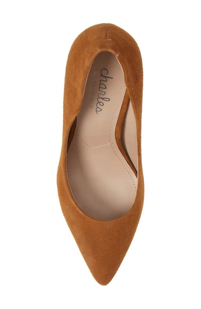 Shop Charles By Charles David Maxx Pointed Toe Pump In Amber Suede