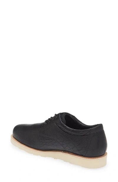 Sas Waypoint Oxford In Bison