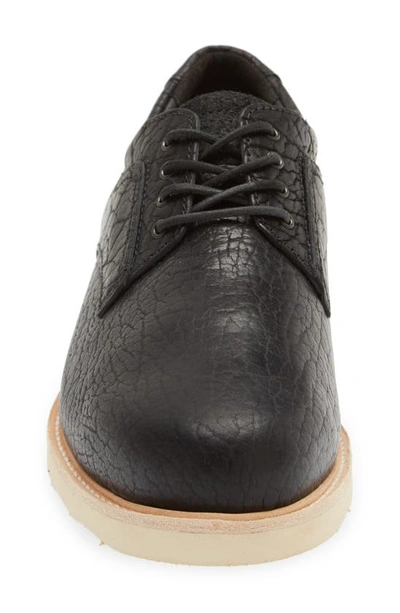 Sas Waypoint Oxford In Bison