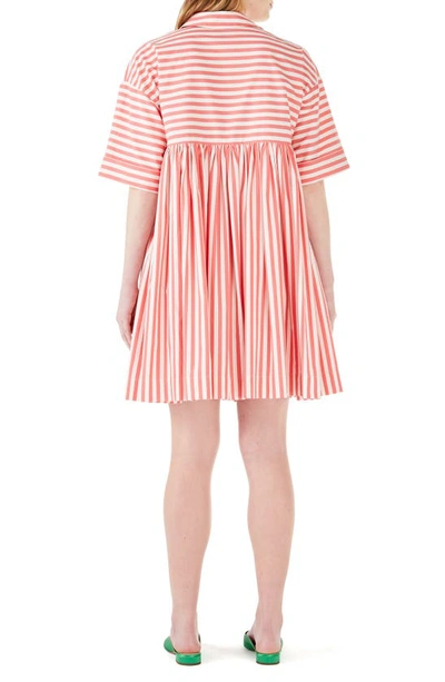 Kate Spade Julia Stripe Drop Waist Cotton Dress In Coral Lipstick | ModeSens