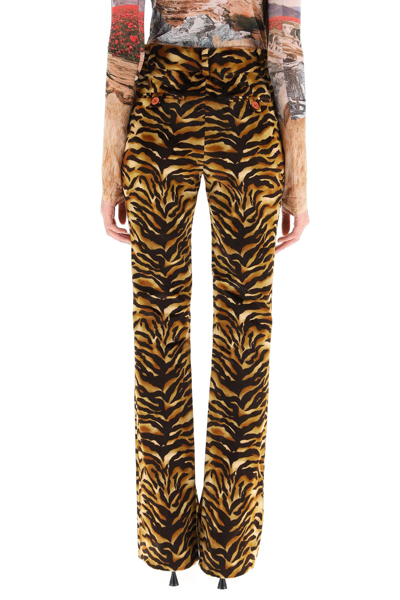 Shop Acne Studios Tiger Print Velvet Trousers In Mixed Colours