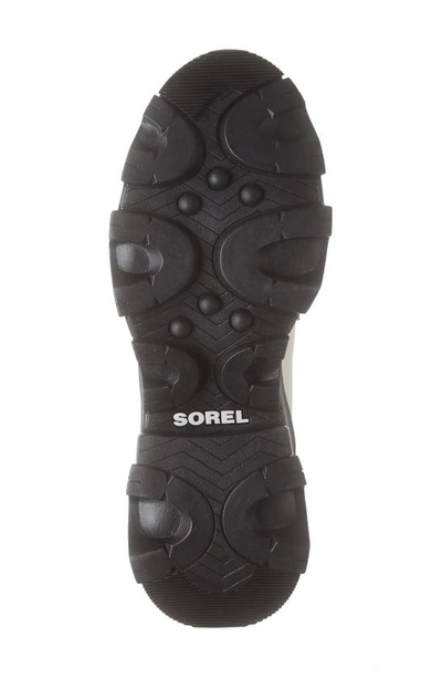 Shop Sorel Brex™ Lace-up Waterproof Bootie In Chalk Black
