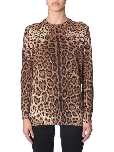 Shop Dolce & Gabbana Animal Print Sweater In Multi
