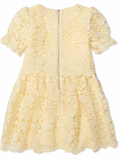 Shop Self-portrait Floral-crochet Short-sleeve Dress In Yellow