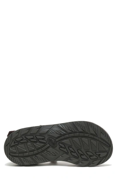 Chaco Men's Zcloud 2 Sandals In Essence Java In Essence Java
