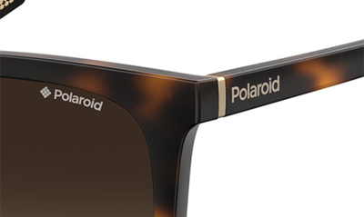Shop Polaroid 56mm Polarized Rectangle Sunglasses In Dkhavana/ Brown Grad Polz