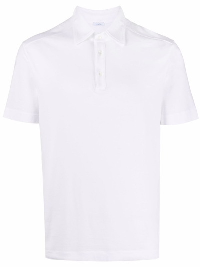 Shop Malo Polo T-shirt In Bianco