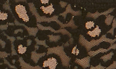Shop Hanky Panky X-dye Leopard Print Lace Boyshorts In Black/ Praline