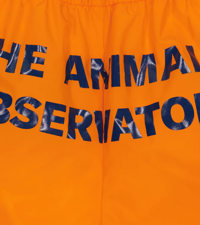 The Animals Observatory Kids Orange Logo Puppy Swim Shorts In Orange