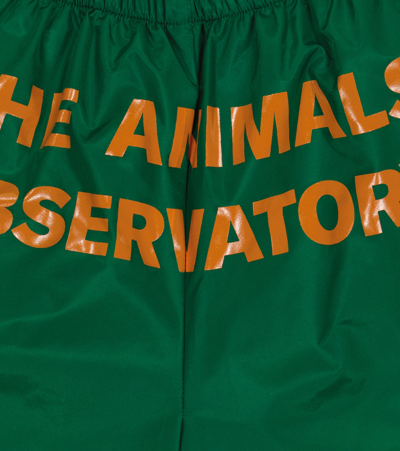 Shop The Animals Observatory Puppy Swim Trunks In Green