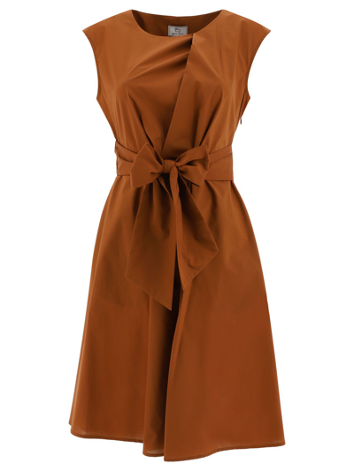 Shop Woolrich Women's Brown Cotton Dress