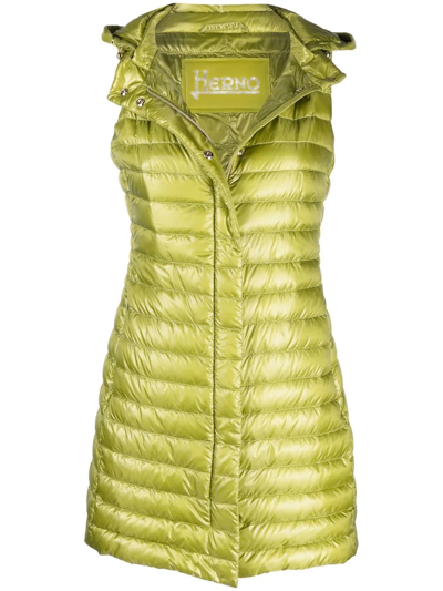 Herno Hooded Padded Vest In Grün