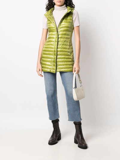 Herno Hooded Padded Vest In Grün