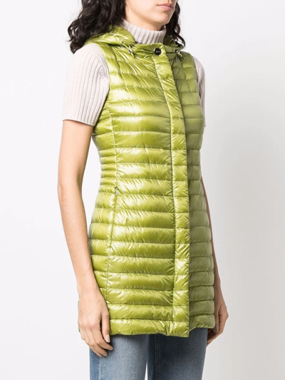 Herno Hooded Padded Vest In Grün