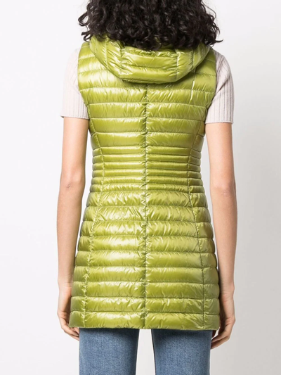 Herno Hooded Padded Vest In Grün
