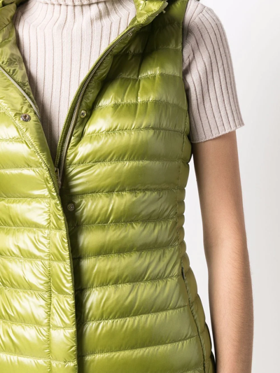 Herno Hooded Padded Vest In Grün