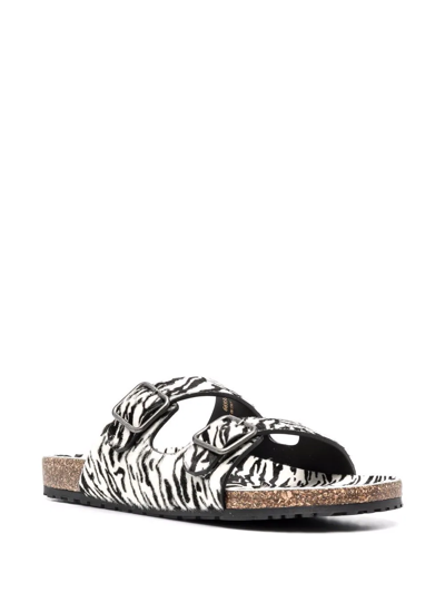 Shop Saint Laurent Zebra-print Slides In Weiss