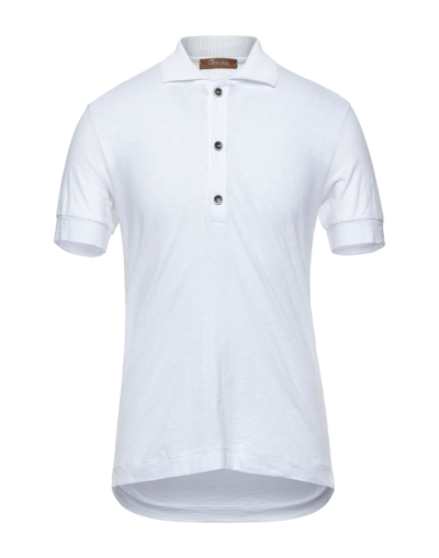 Shop Obvious Basic Polo Shirts In White