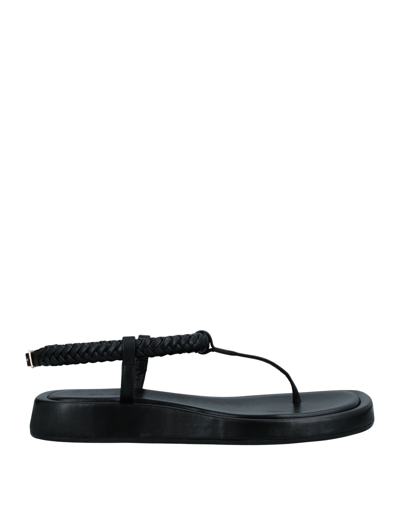 Gia Rhw Sandali Infradito Rosie 3 In Black