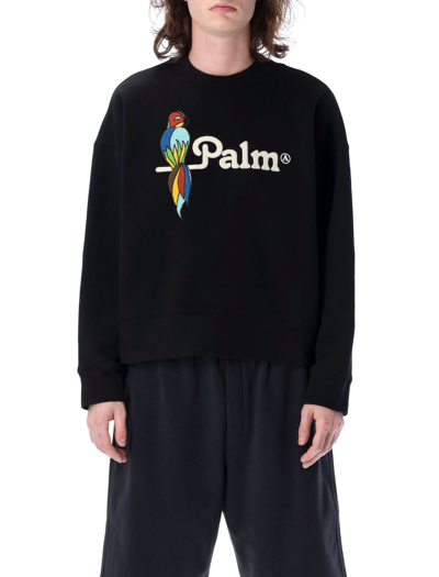 Shop Palm Angels Parrot Sweatshirt In Black