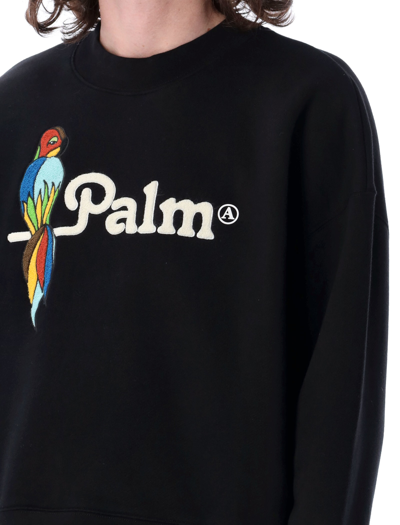 Shop Palm Angels Parrot Sweatshirt In Black
