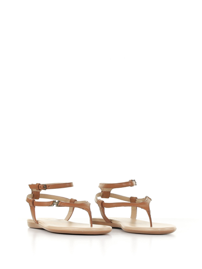 Shop Hogan Valencia Thong Sandal In Tan Leather In Cuoio Scuro