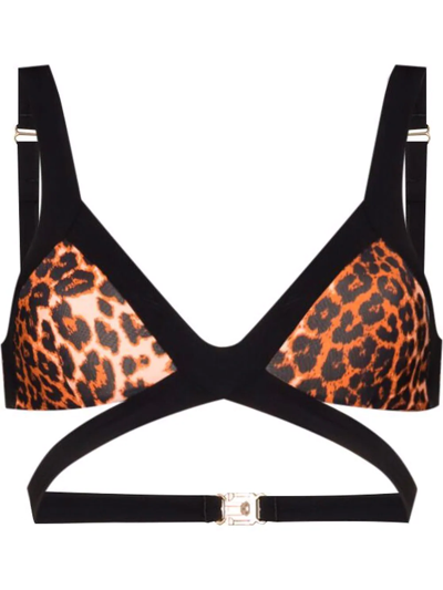 Shop Agent Provocateur Mazzy Leopard-print Triangle Bikini Top In Brown