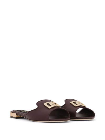 Shop Dolce & Gabbana Dg-logo Leather Sandals In Violett