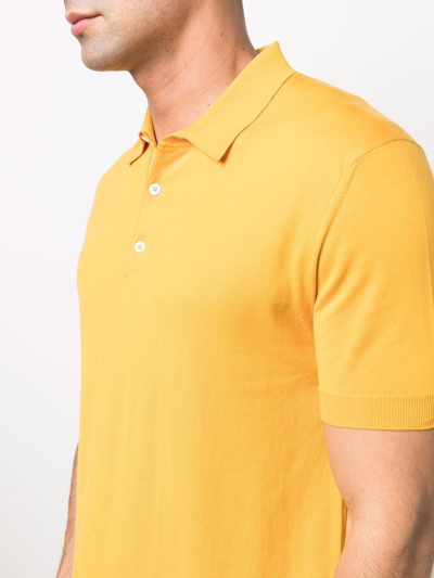 Shop Baracuta Cotton Polo Shirt In Orange