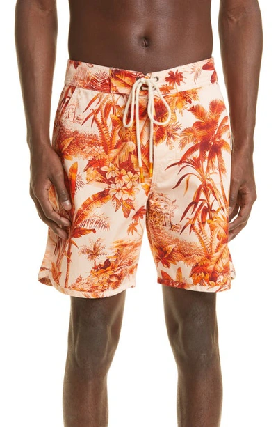 Shop Alanui Ho'okipa Cotton Shorts In Rust Orange