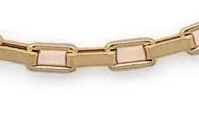 Stephanie Windsor 14k Gold Box Chain Necklace In Yellow