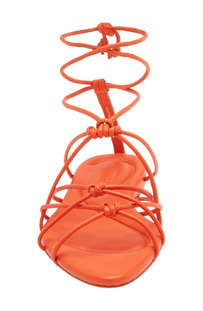 Shop Vince Kenna Strappy Sandal In Burnt Orchid