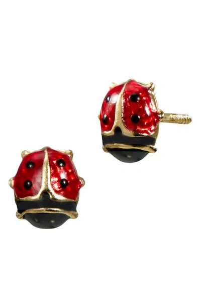 Shop Savvy Cie Jewels 14k Gold Ladybug Stud Earrings In Red