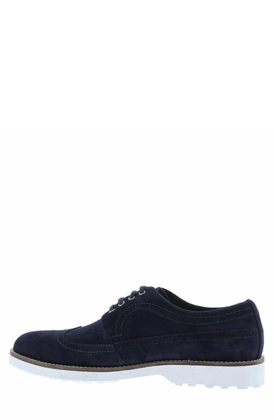 Zanzara Tiki Brogue Derby In Navy
