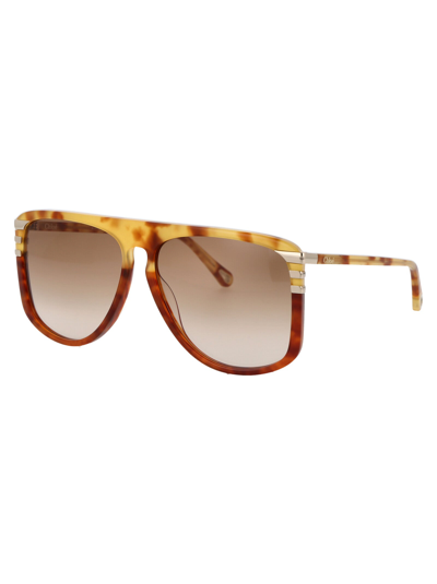 Shop Chloé Chloe Sunglasses In 001 Havana Havana Brown