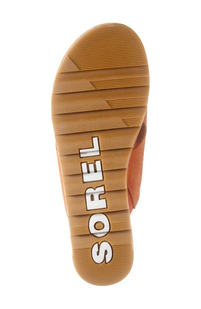 Shop Sorel Cameron Flatform Mule In Desert Sun Gum 17