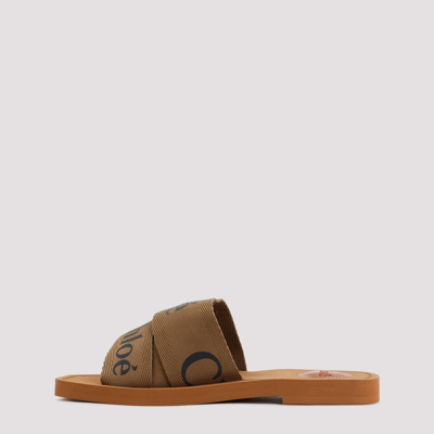 Shop Chloé Flat Woody Slides Shoes In Brown