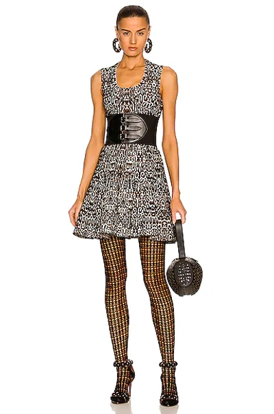 Alaïa Lace Stretch Viscose Tights In Noir