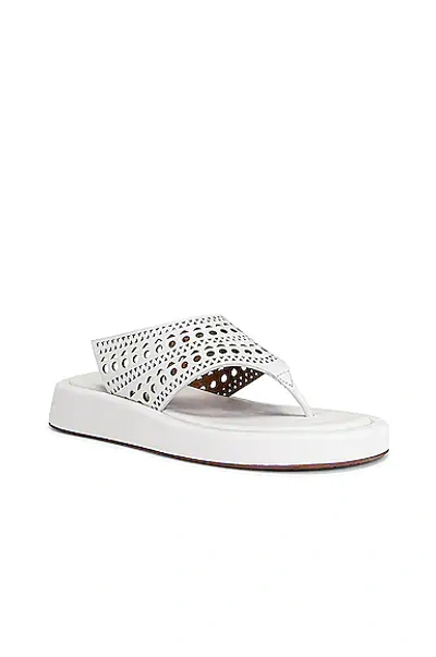 Shop Alaïa Vienne Thong Platform Sandals In Blanc Casse